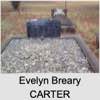 Evelyn Breary CARTER