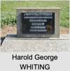 Harold George WHITING