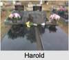 Harold 
