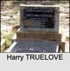 Harry TRUELOVE