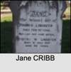 Jane CRIBB
