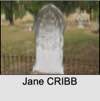 Jane CRIBB