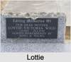 Lottie Victoria BROWN