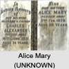 Alice Mary (UNKNOWN)