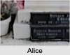 Alice ISBISTER