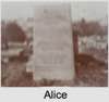 Alice WILLS