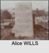 Alice WILLS