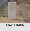 Alfred BIRKIN