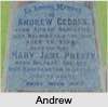 Andrew Lawson GEDDES