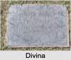 Divina Henry WALKER