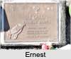 Ernest James EXALL