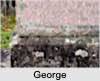 George Henry FOUNTAIN