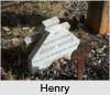 Henry ROWSE