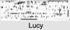 Lucy Fanny ALLPORT