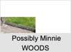 Minnie WOODS
