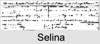 Selina (Salina) (OAKLEY) OAKEY