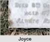 Joyce Verdun TURNER