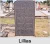 Lillias L STEVENSON