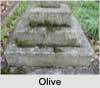 Olive Frances SANDS