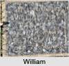 William Hay PARFITT
